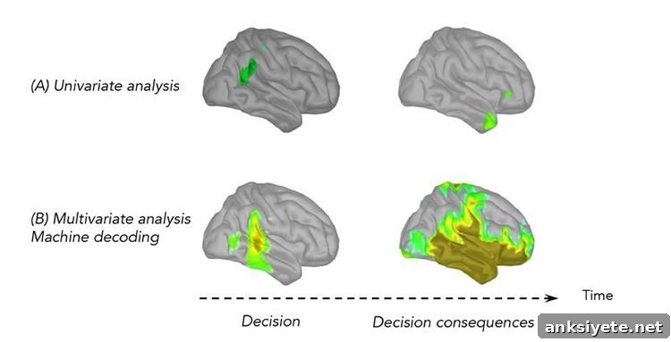 brain scans