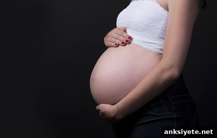 Low-Level BPA Exposure During Pregnancy Disrupts Fetal Brain 2 pregnant woman