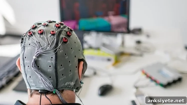 eeg