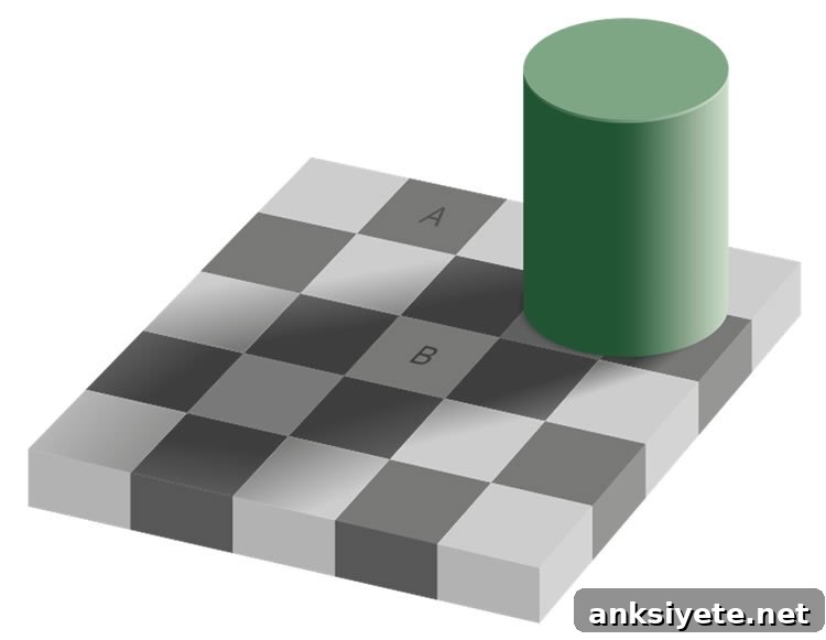 shadow illusion