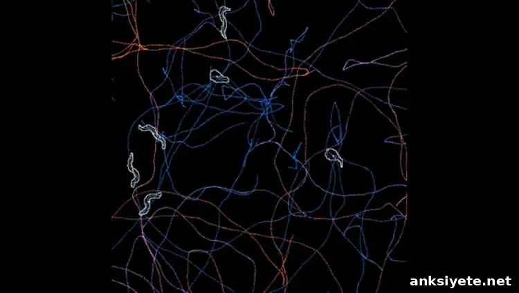 worm simulation in ai