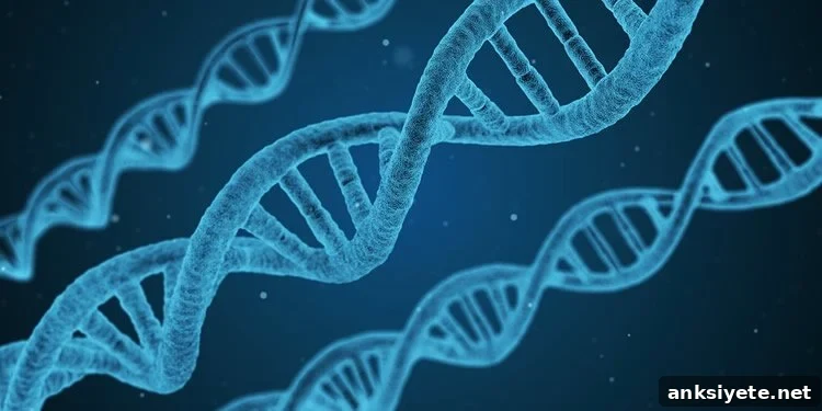 DNA strands