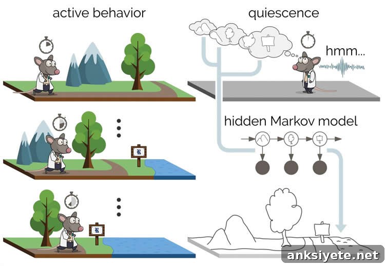 Neural ripples during rest
