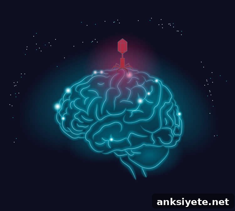 Herpes Virus Linked to Alzheimer's Disease Risk 2 a brain with a drawing of a viral vector on top