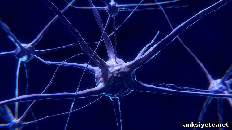 neurons