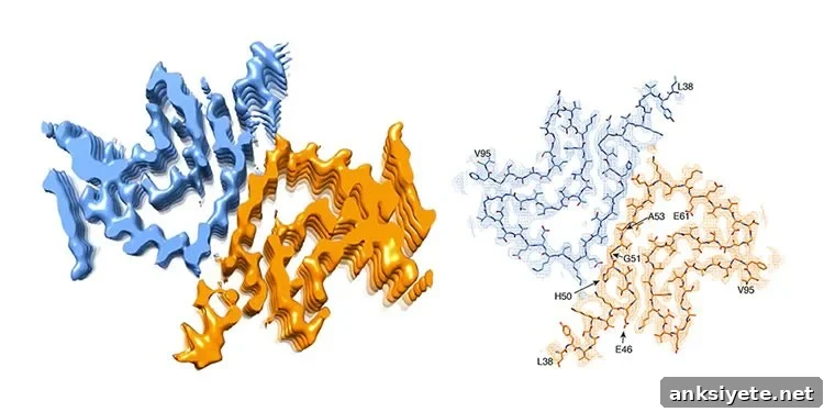 fibrils