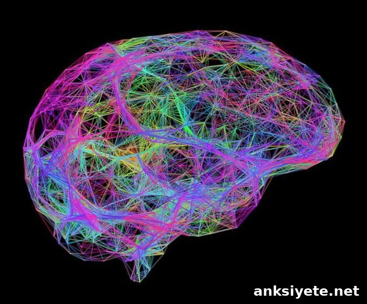 Infant brain illustration