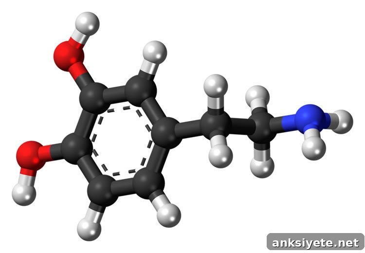 dopamine