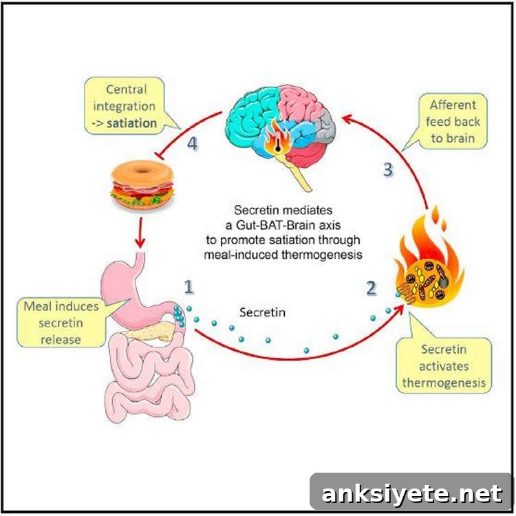 graphical abstract for the study