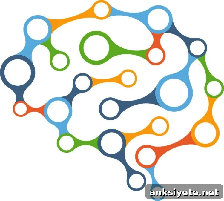 Brain networks illustration