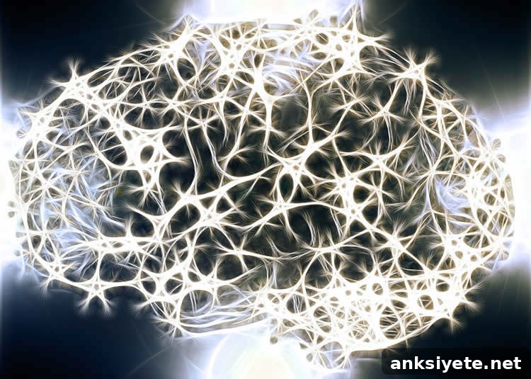 brain