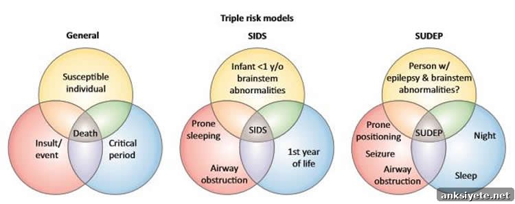 This shows Ven Diagrams of how sudden death syndrome may occur
