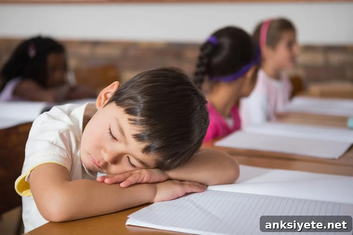 Study: Midday Naps Improve Kids' Mood, Grades and Behavior 2 This shows a young boy taking a nap on his school desk
