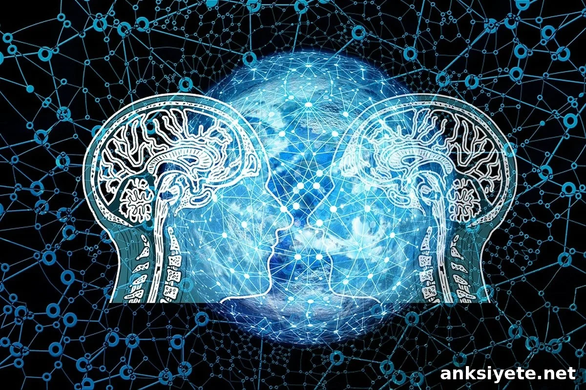This shows two head outlines with drawings of brains in them