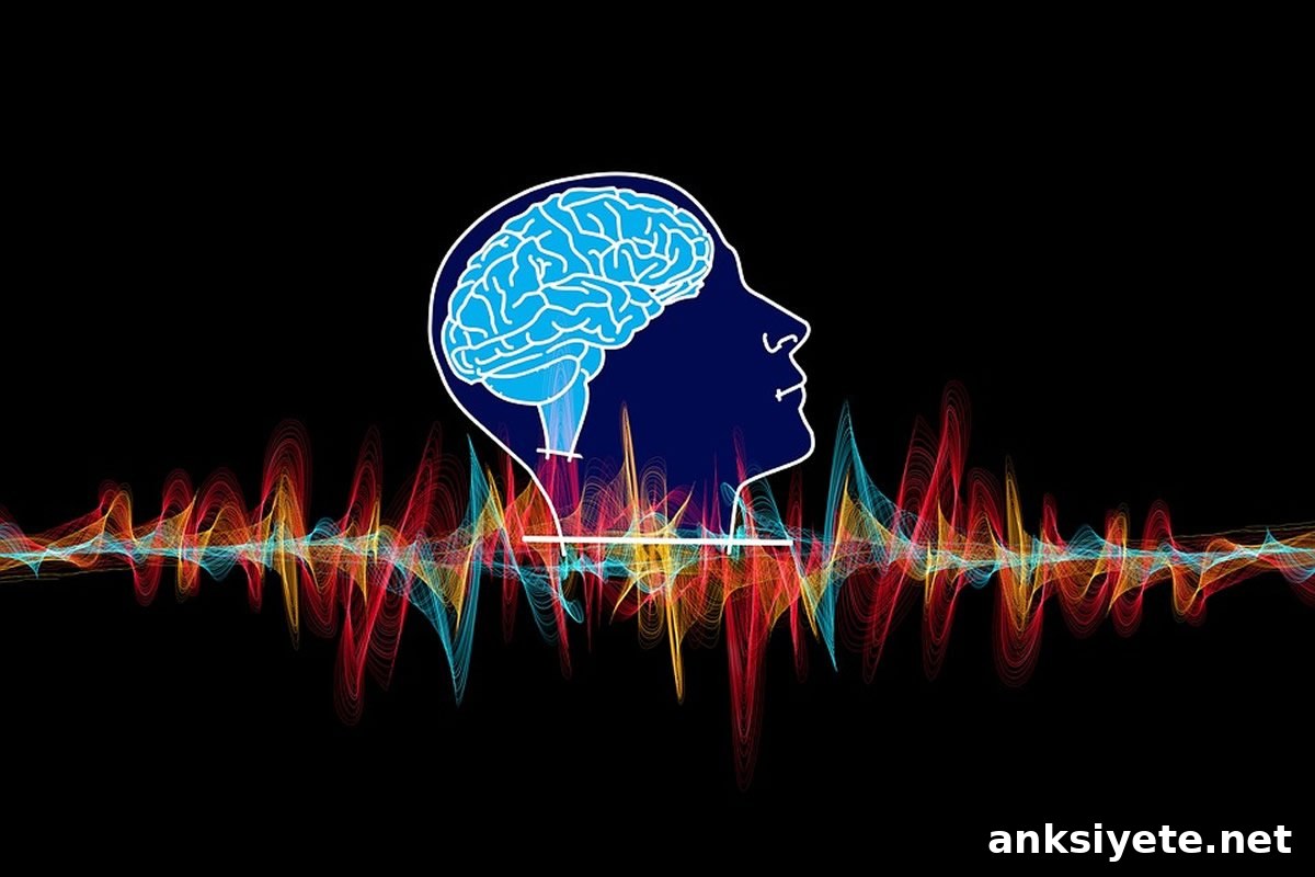 This shows a brain