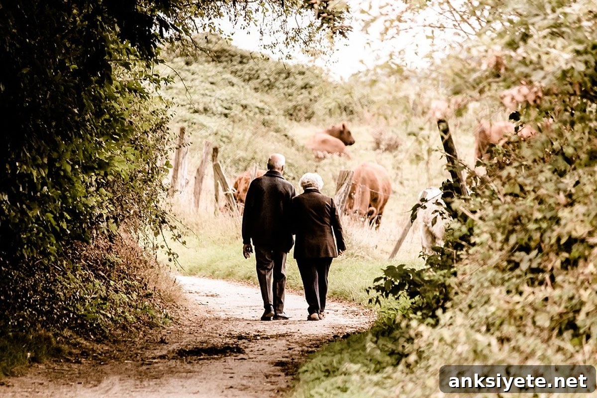This shows an old couple walking down a country lane