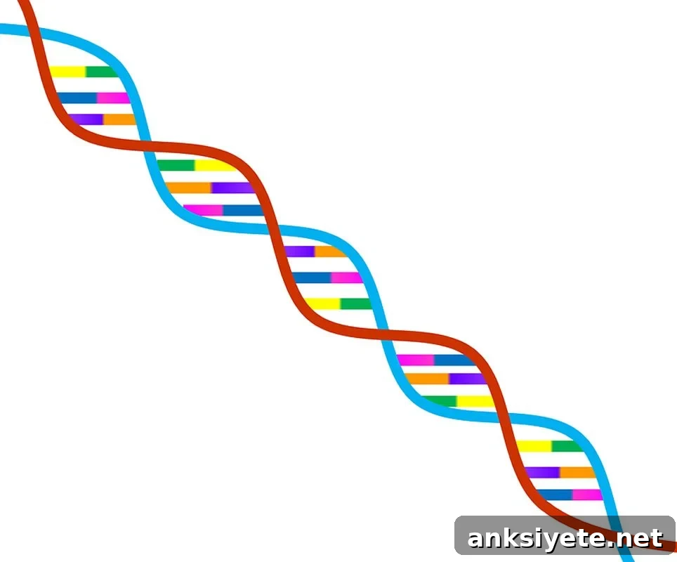 This shows a rainbow DNA double helix