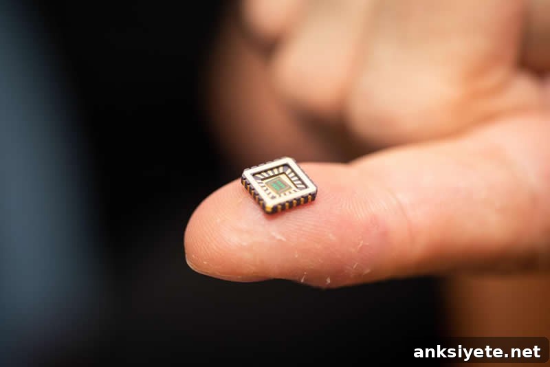 This shows the artificial neuron chip
