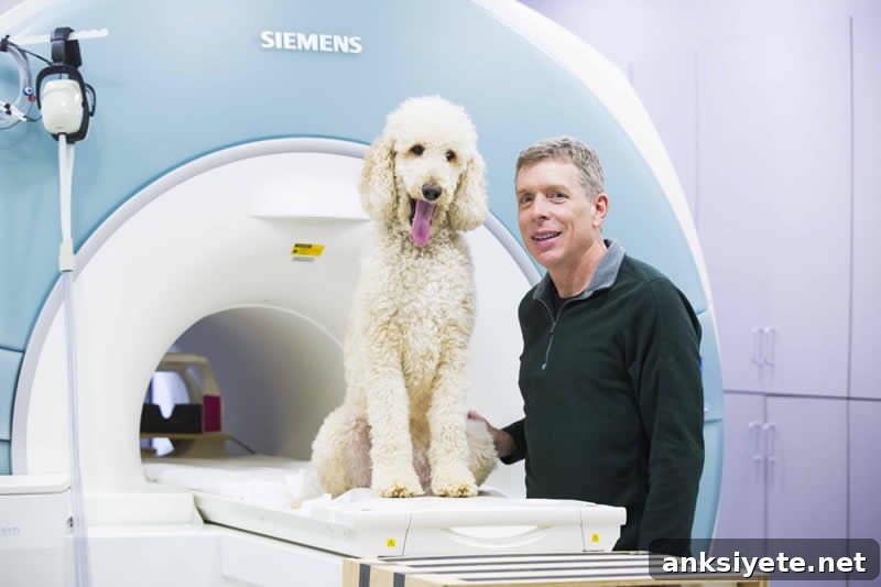 Researcher and a dog next to an fMRI machine