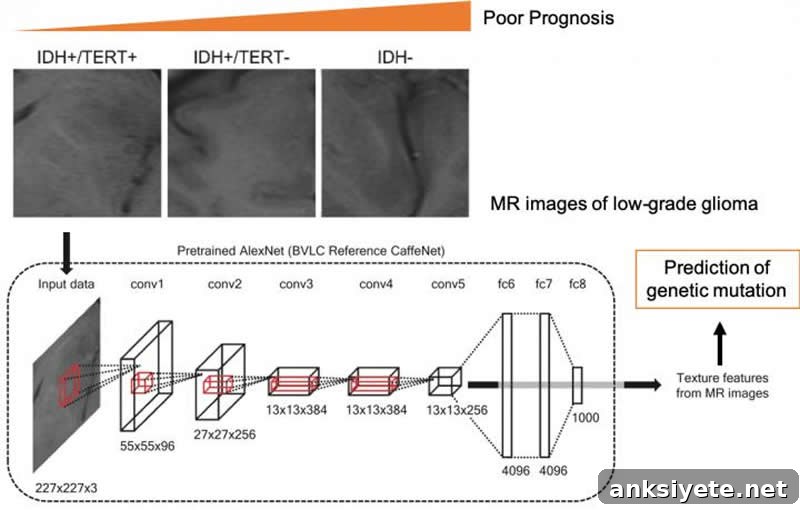 This shows how the CNN analyzes the MRI brain cancer data