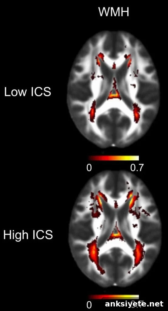 This shows brain scans from the study