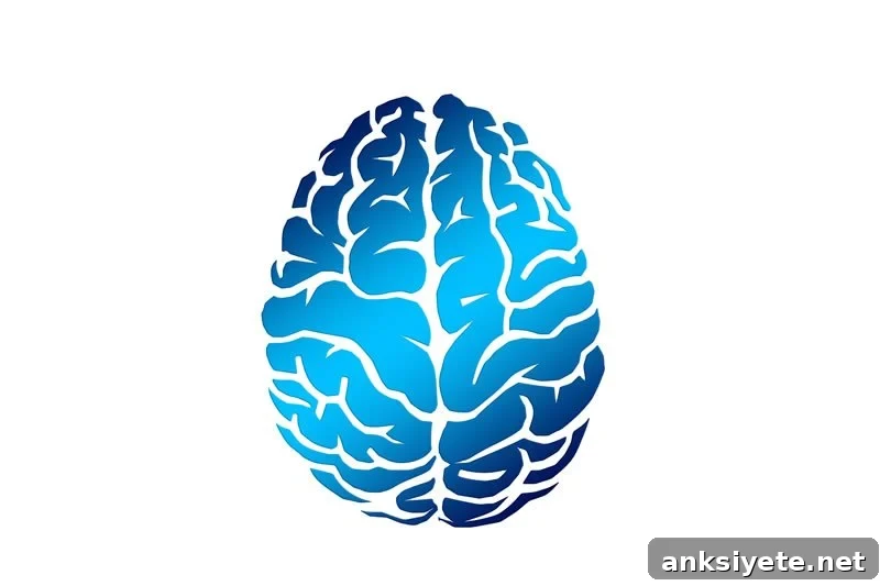 This shows a blue brain