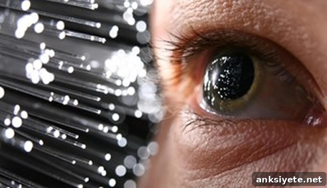 Light rays are shown heading to a human eye.