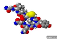 Oxytocin May Improve Social Processing in Children with Autism