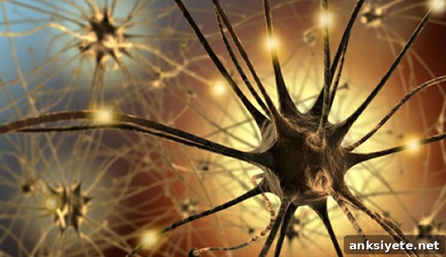 Illustration of neurons is shown.