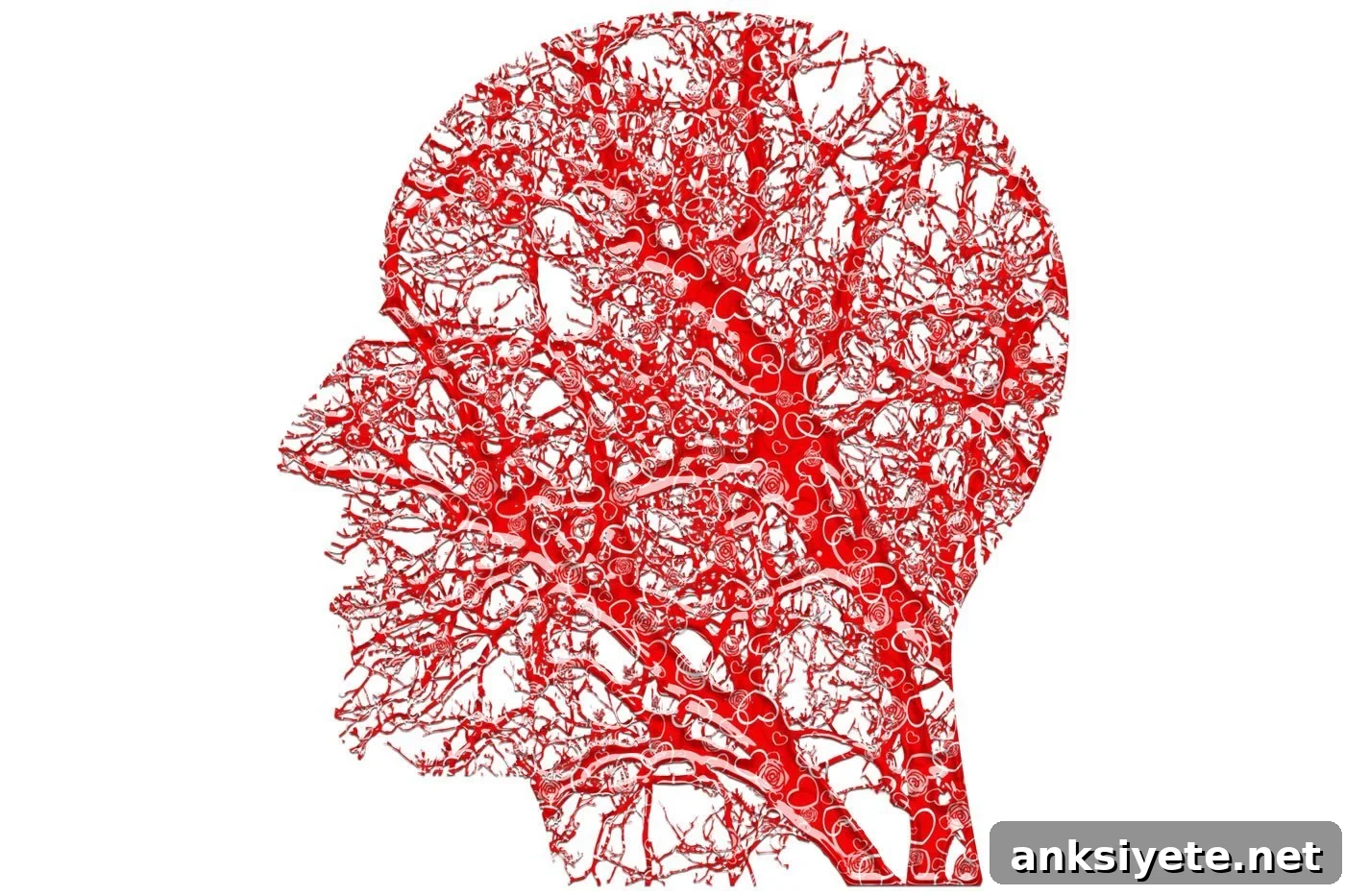 Microscopic image related to neurogenesis and sleep