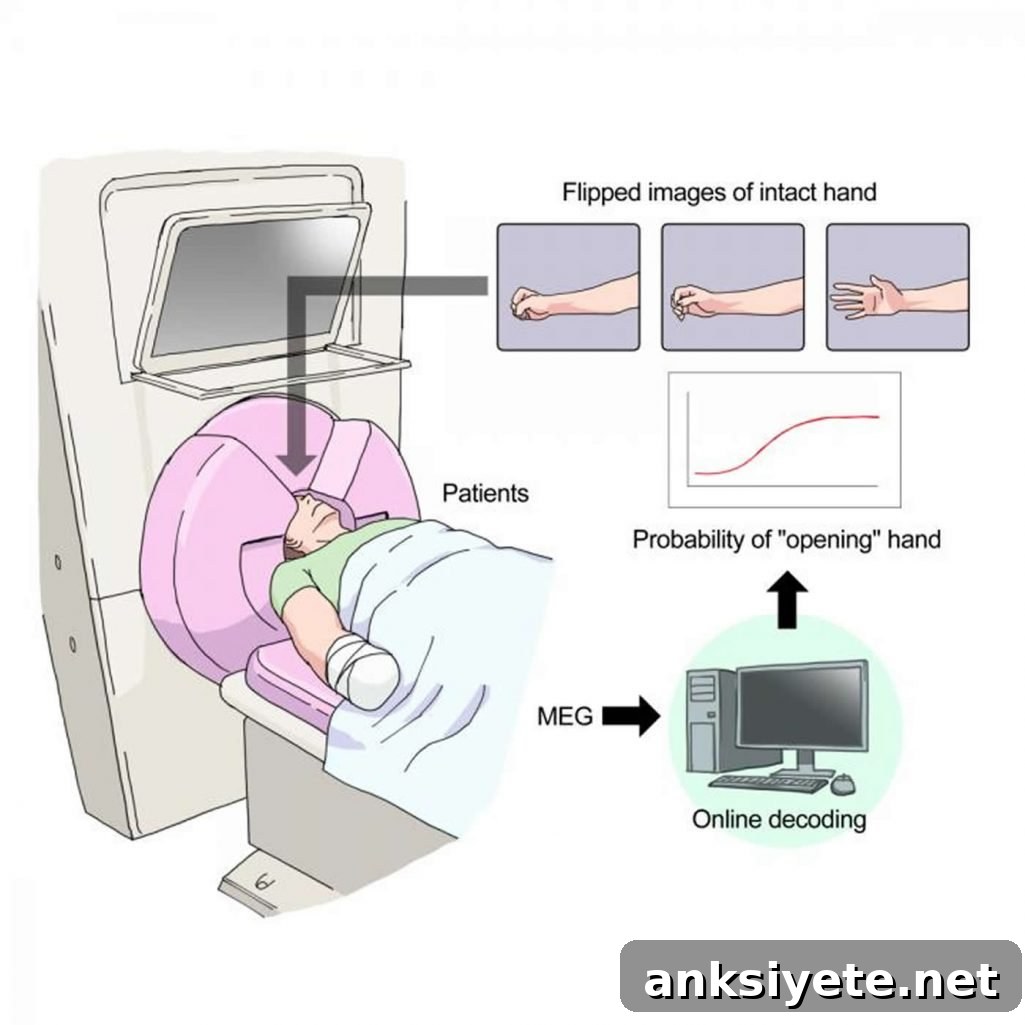 This is a diagram from the study