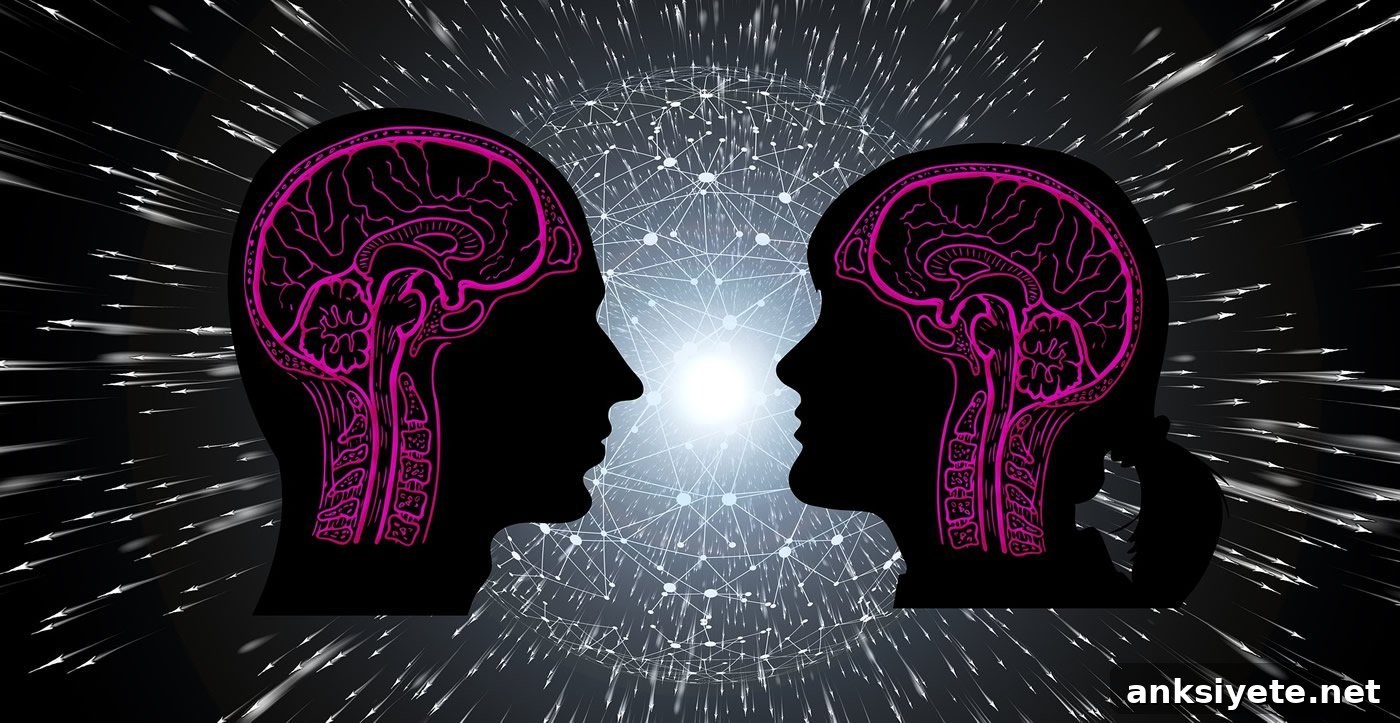 This shows a male and female head with brains drawn on