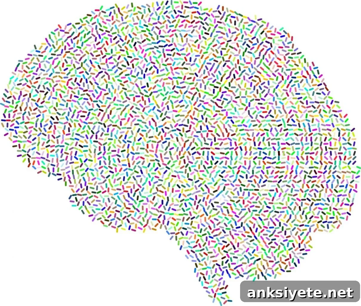 This shows a brain