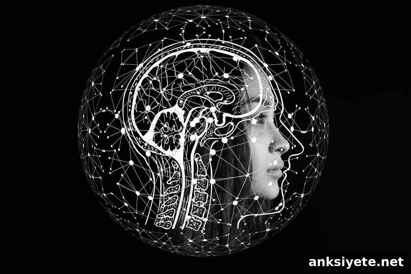 MS Mental Fatigue Linked to Inefficient Brain Resource Use 2 Ths shows a woman's head