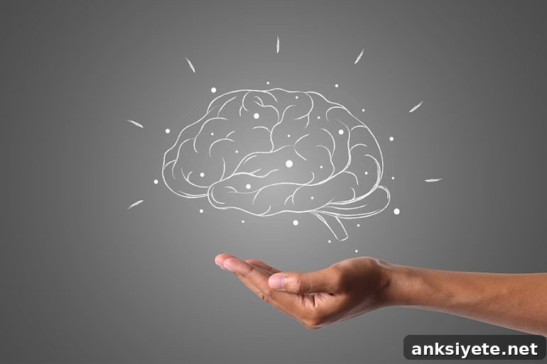 This shows a brain