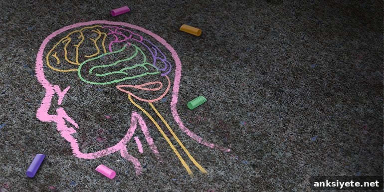 This shows a chalk drawing of a brain