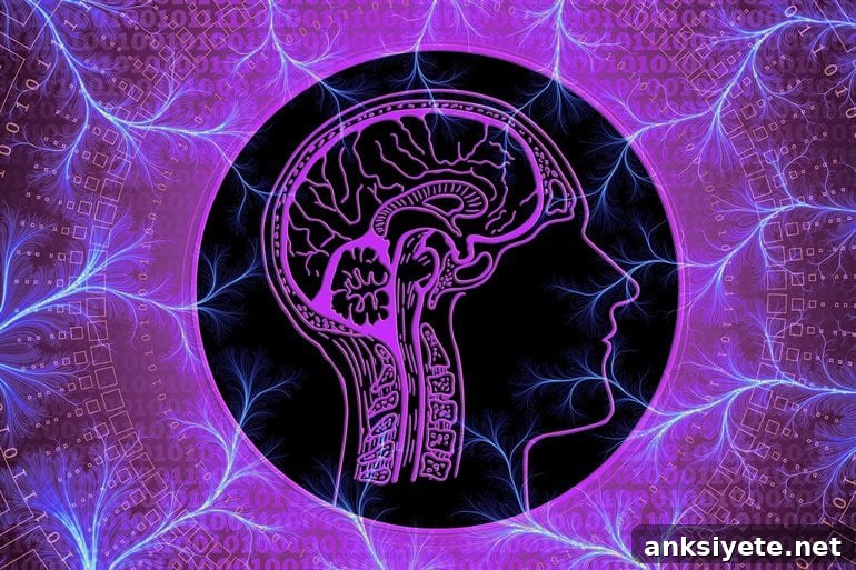 This shows a brain