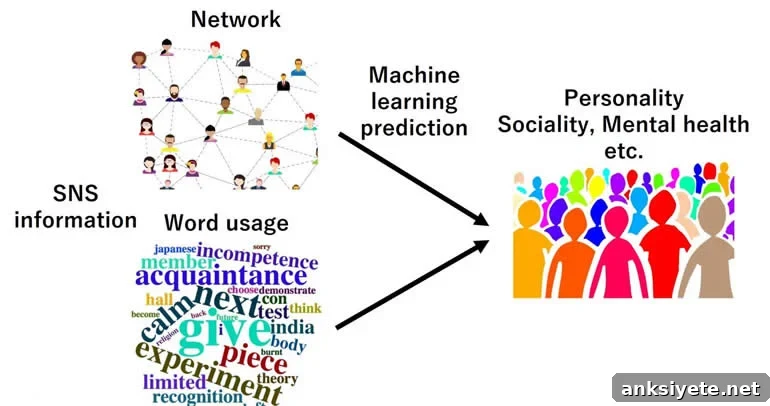 This is a diagram from the study