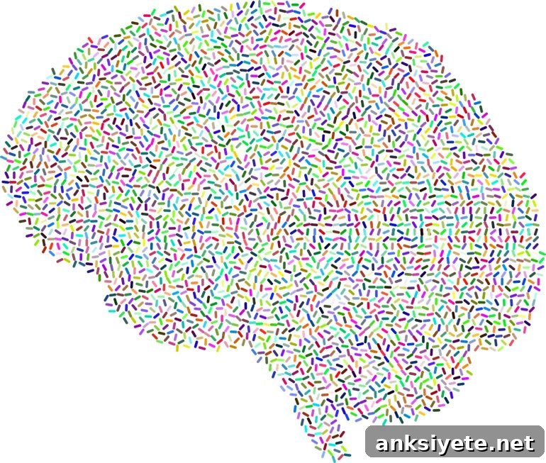 This shows a brain