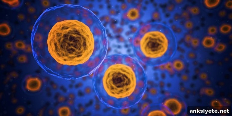 This shows cells