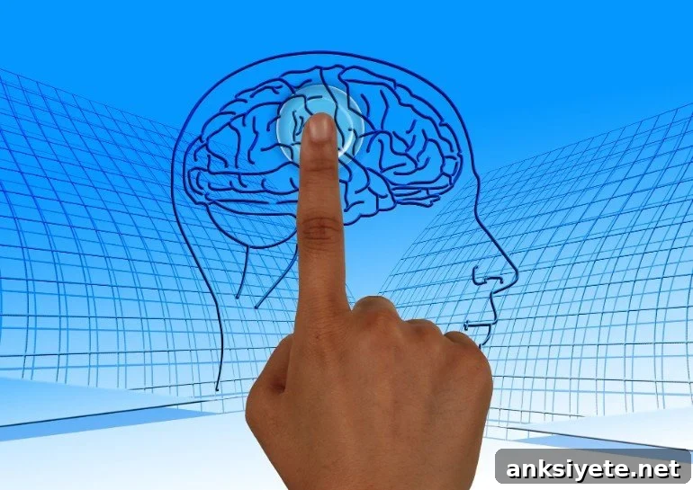 This shows a brain