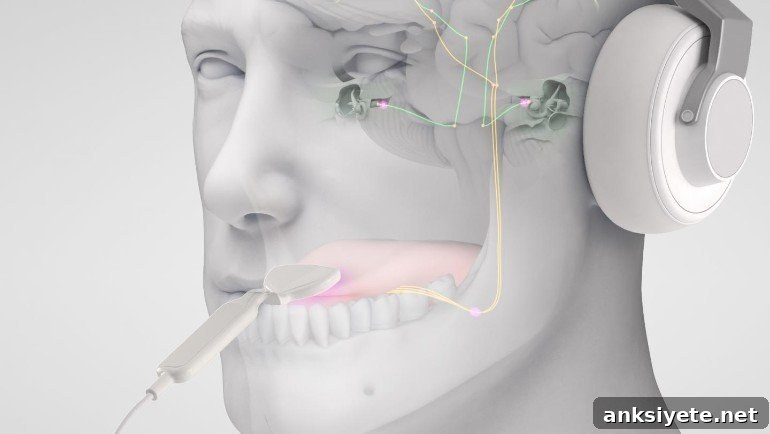 This shows a diagram of the device