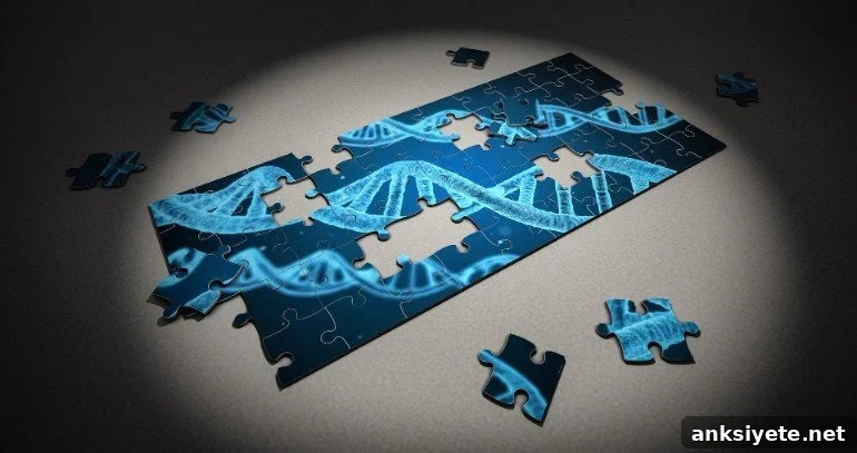 this shows a dna jigsaw