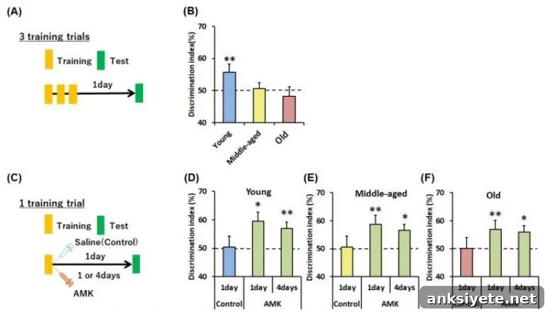 New Study Finds Melatonin Improves Memory 2 This shows graphs from the study