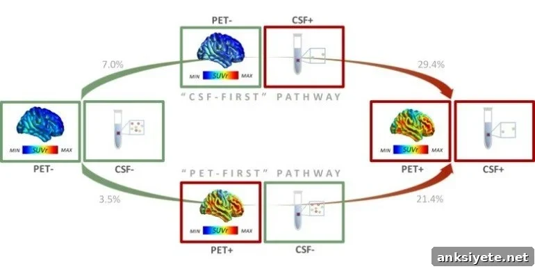 This is a diagram from the study