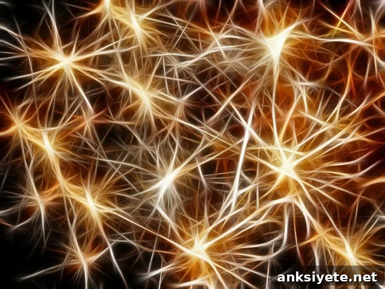 This is an illustration of astrocytes