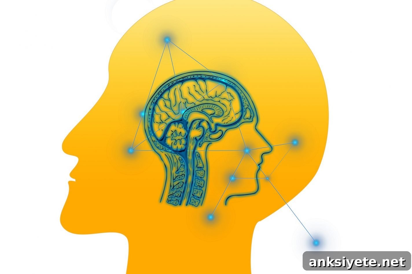 Bedside EEG Predicts Outcomes After Coma from Brain Injury 2 This shows a head