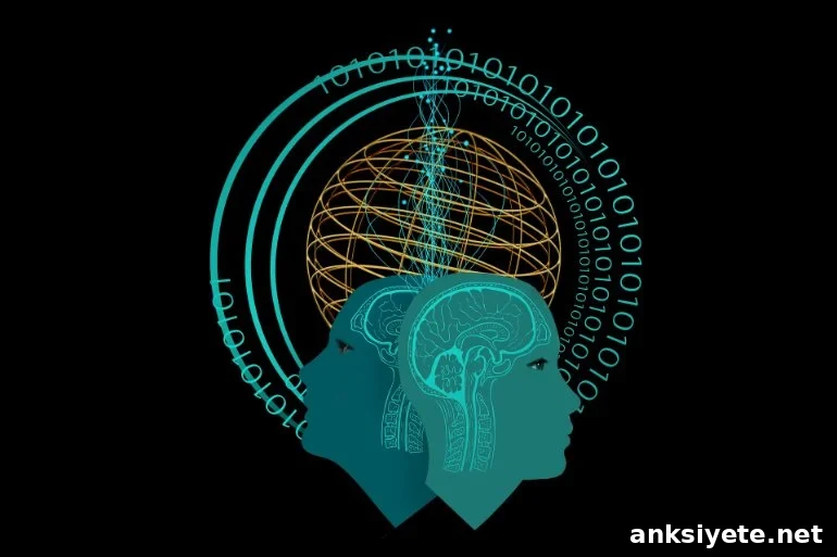 This shows two brains