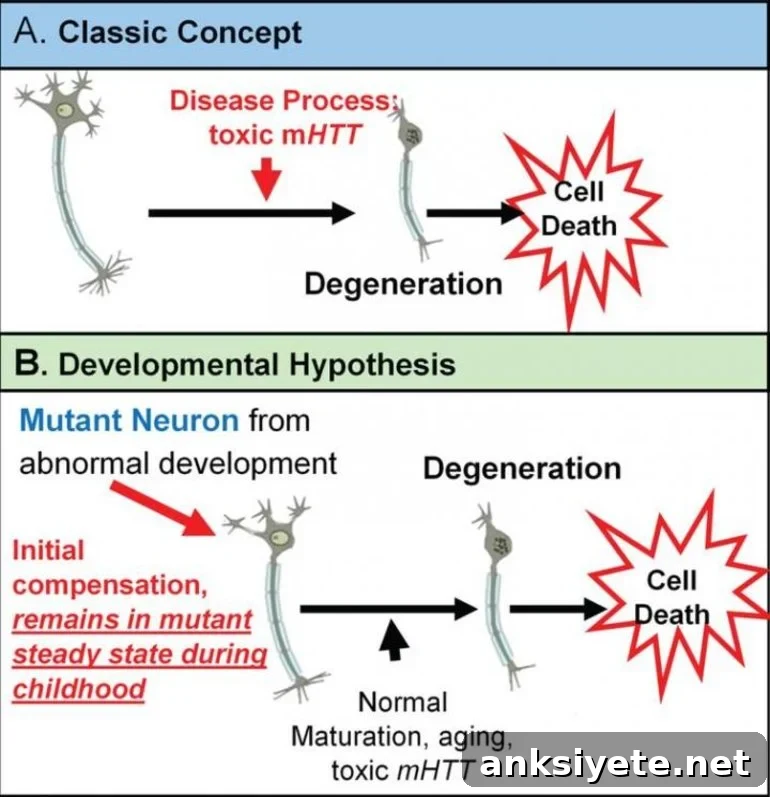 This is a graphic abstract from the study