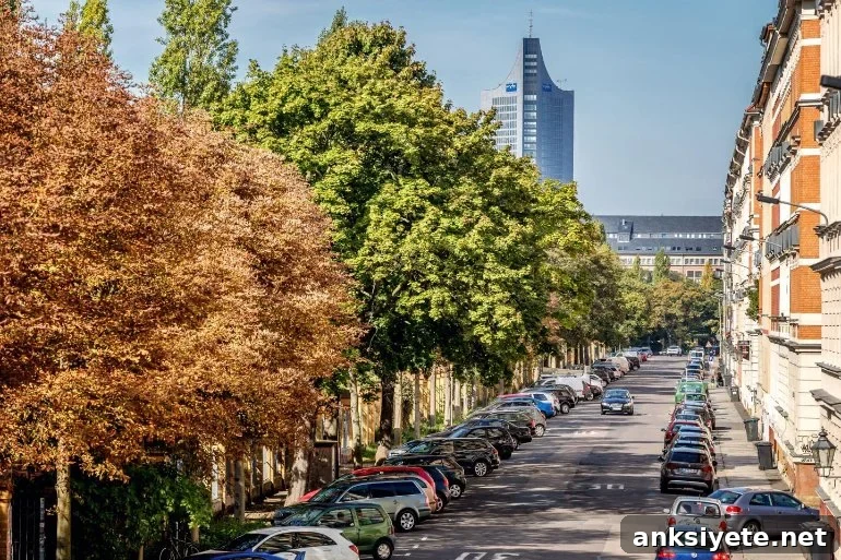 This shows a street lined with trees